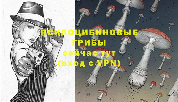 кристаллы Заводоуковск