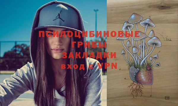 не бодяженный Заволжск