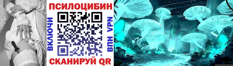ссылка на мегу как войти  Каменск-Шахтинский  Галлюциногенные грибы Psilocybe  цены  