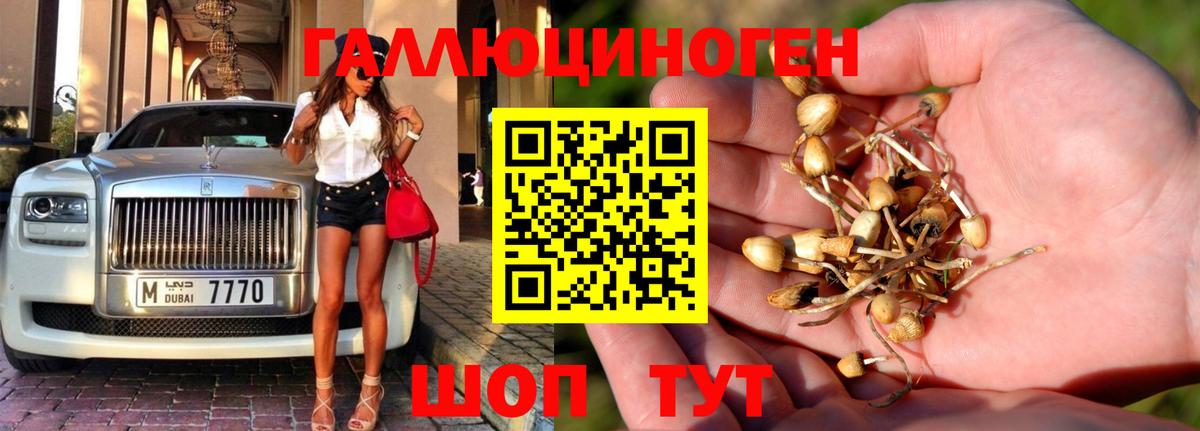 Галлюциногенные грибы мухоморы Каменск-Шахтинский